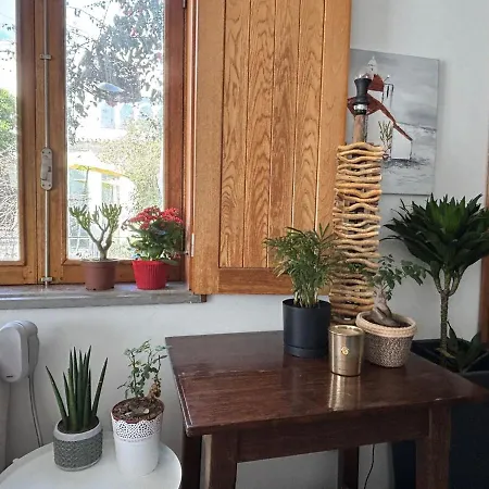 Artist In Historic Centre Apartment *