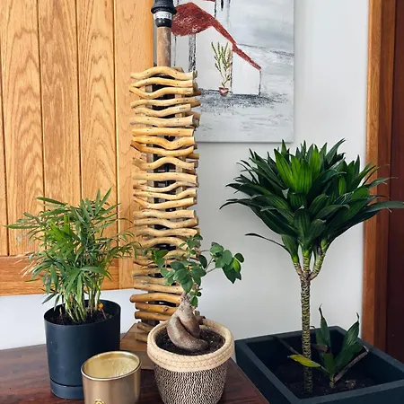 Artist In Historic Centre Apartment *
